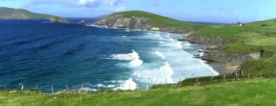 Business 1 image YOUR DAYS OUT Travel & Tourism in Dublin IE


