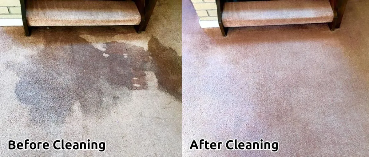Business 1 image CLEANING DOCTOR CARPET & UPHOLSTERY SERVICES MAYO