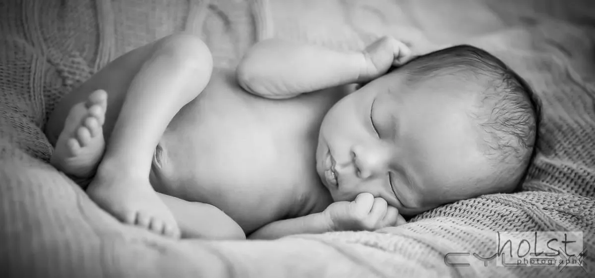 Business 13 image HOLST PHOTOGRAPHY