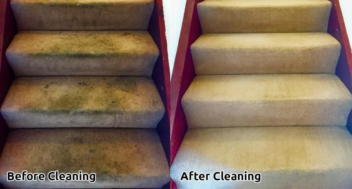 Business 2 image CLEANING DOCTOR CARPET & UPHOLSTERY SERVICES MAYO