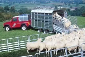 Business 1 image SMS TRAILERS