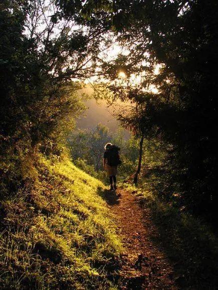 Business 9 image ATLASTRAVEL.IE BUS & COACH HIRE