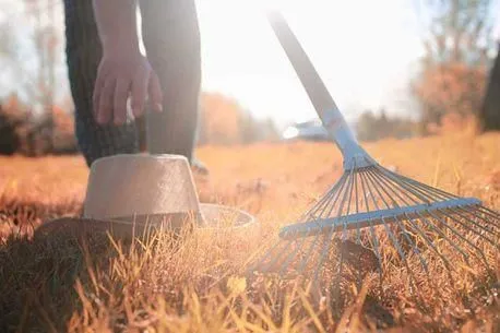 Business 16 image DALY'S EXPERT HARDWARE