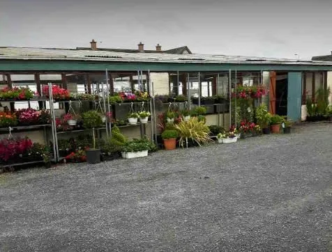 Business 2 image ARTHUR'S NURSERIES