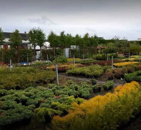 Business 4 image ARTHUR'S NURSERIES