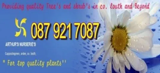 Business 5 image ARTHUR'S NURSERIES