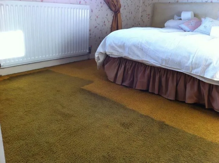Business 8 image CLEANING DOCTOR CARPET & UPHOLSTERY SERVICES MAYO