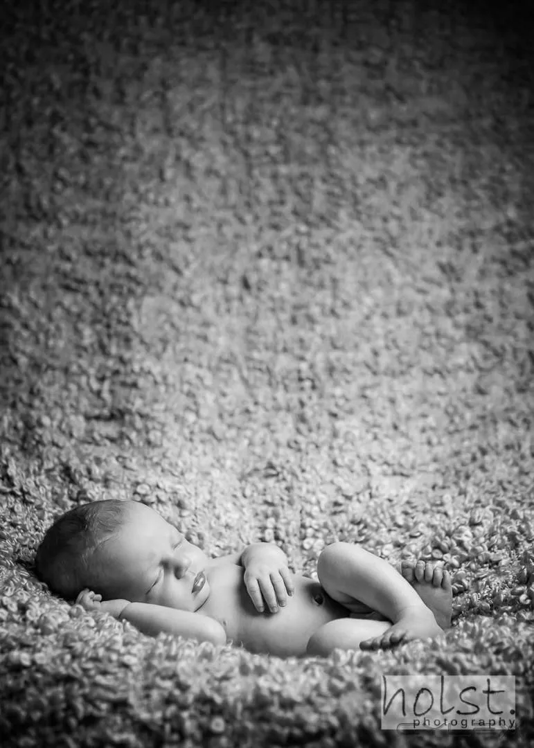 Business 7 image HOLST PHOTOGRAPHY