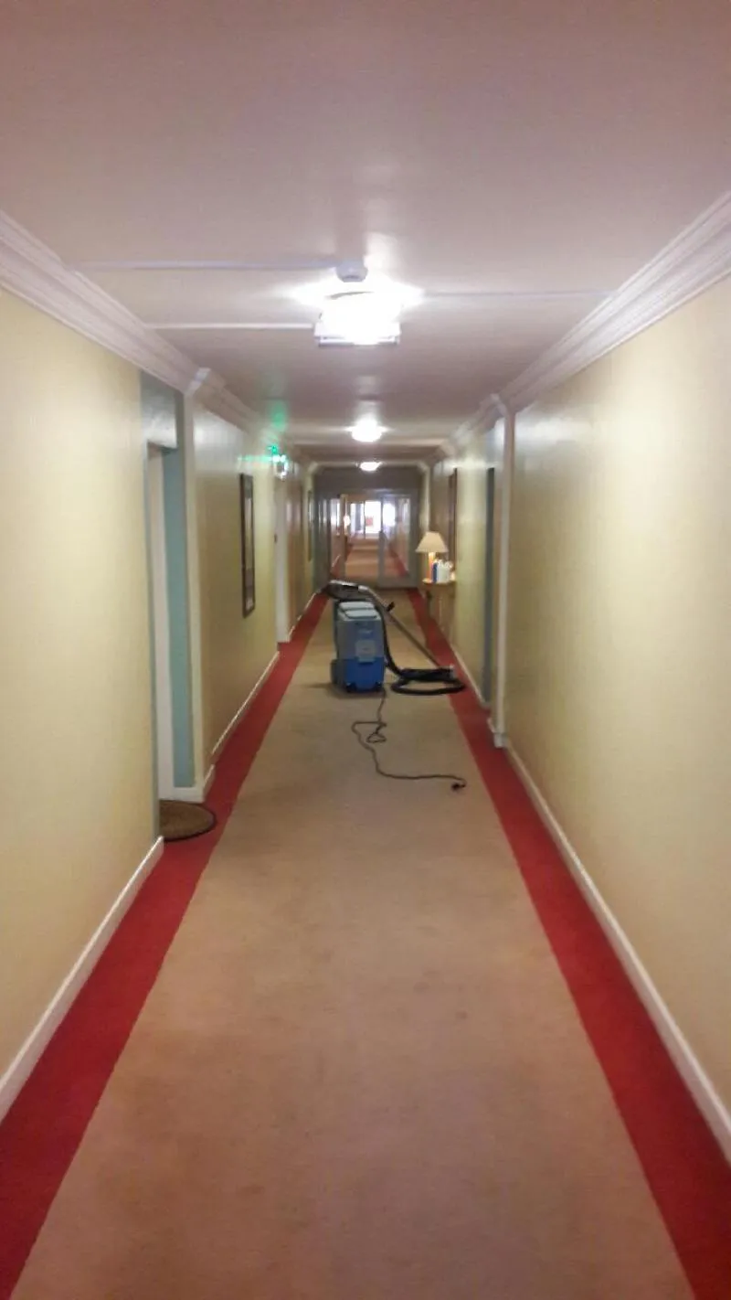 Business 8 image ACE CARPET CLEANING DUBLIN
