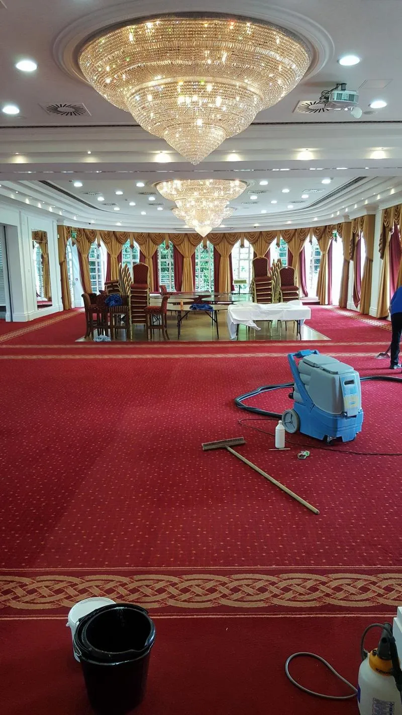 Business 20 image ACE CARPET CLEANING DUBLIN