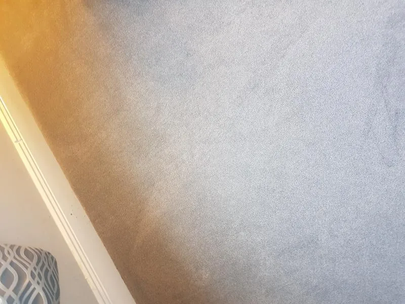 Business 13 image ACE CARPET CLEANING DUBLIN