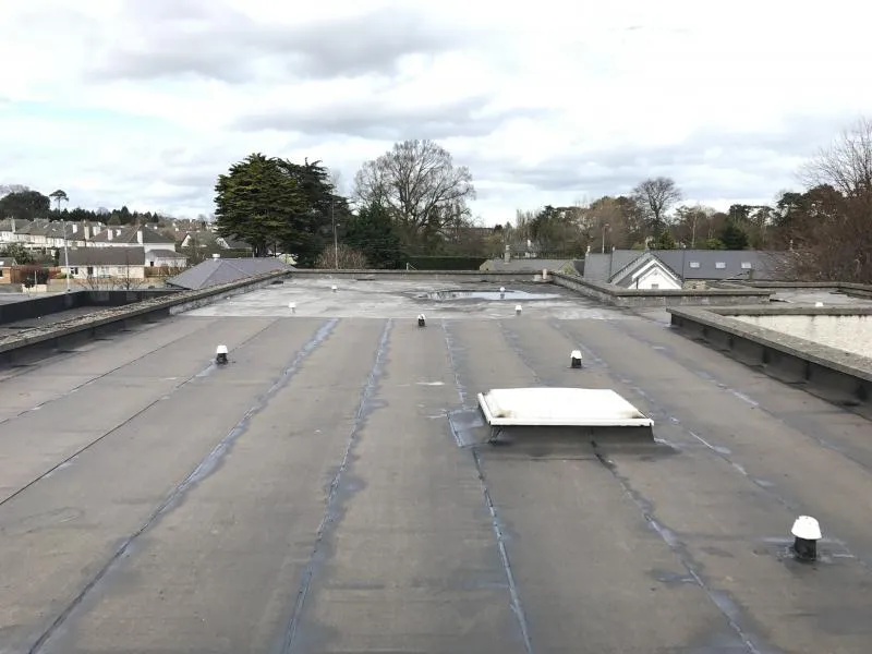 Business 16 image ROOFERS DUBLIN