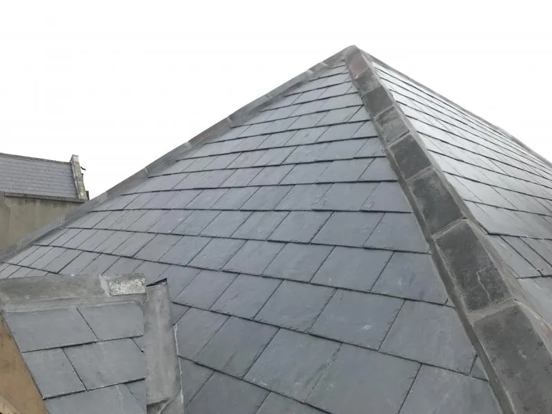 Business 9 image ROOFERS DUBLIN