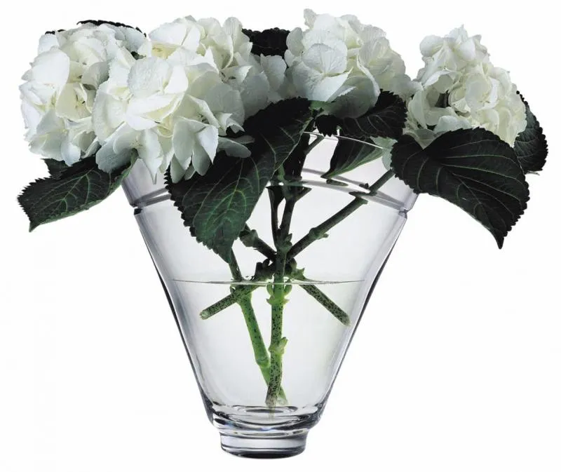 Business 1 image BLOOMING AMAZING FLOWER COMPANY