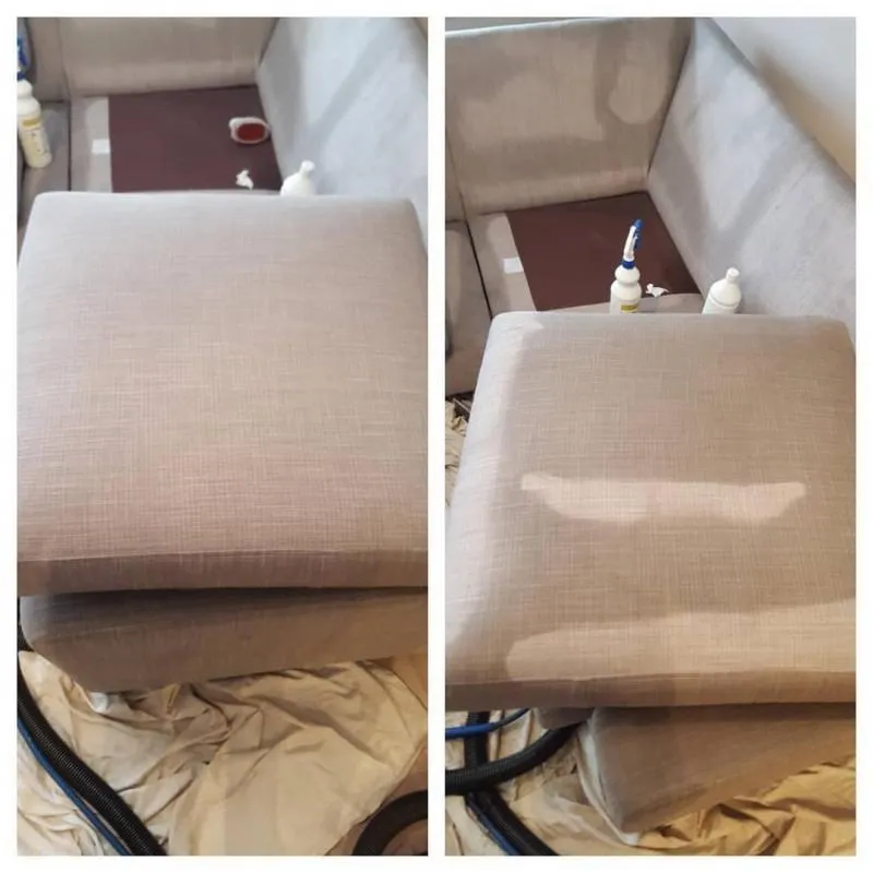 Business 7 image ACE CARPET CLEANING DUBLIN