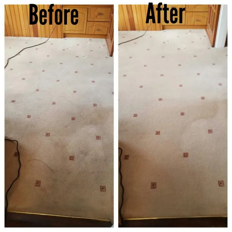 Business 12 image ACE CARPET CLEANING DUBLIN