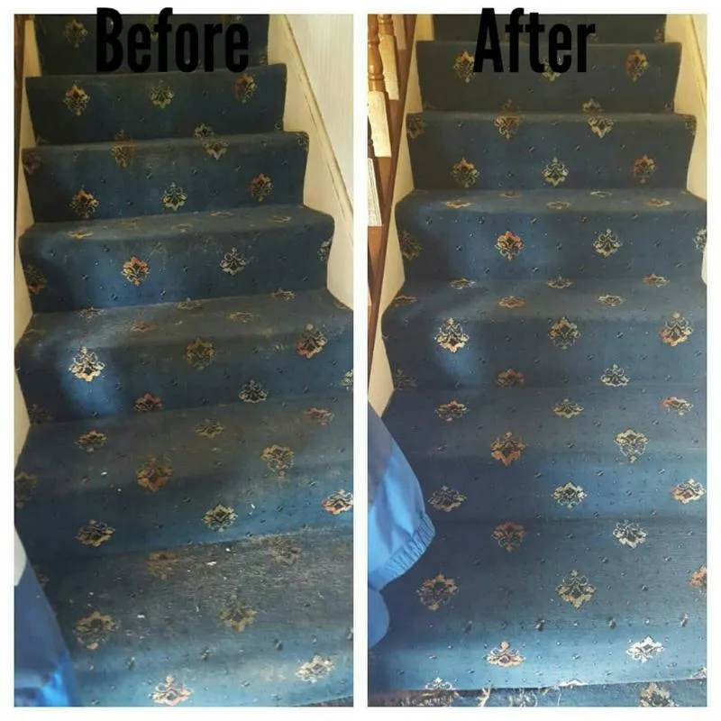 Business 18 image ACE CARPET CLEANING DUBLIN