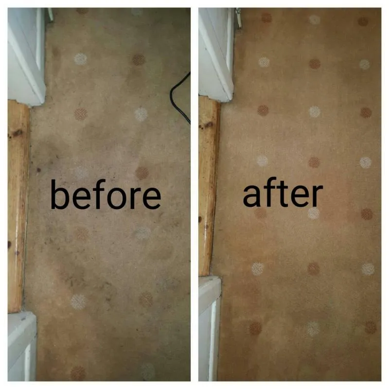 Business 19 image ACE CARPET CLEANING DUBLIN