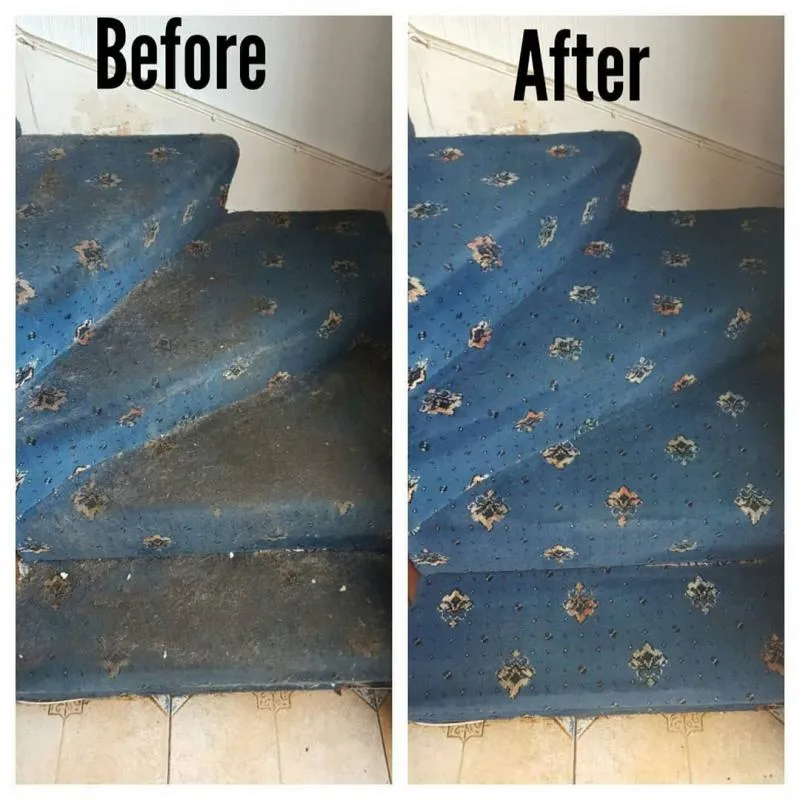 Business 23 image ACE CARPET CLEANING DUBLIN