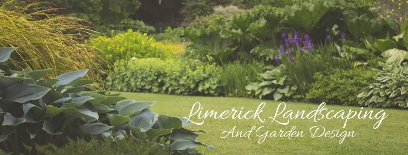 Business 2 image LIMERICK LANDSCAPE AND GARDEN DESIGN