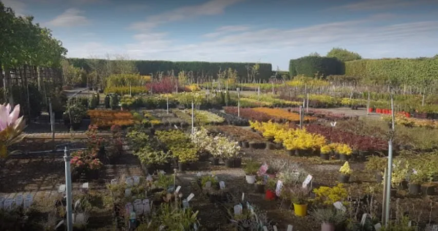 Business 3 image ARTHUR'S NURSERIES