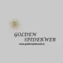 GOLDEN SPIDERWEB Shopping in Kilkenny KK