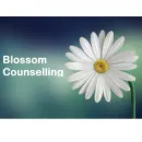 BLOSSOM COUNSELLING Solicitors in Tipperary TA