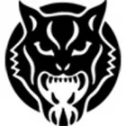 WILDCAT INK.