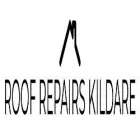 ROOF REPAIRS KILDARE